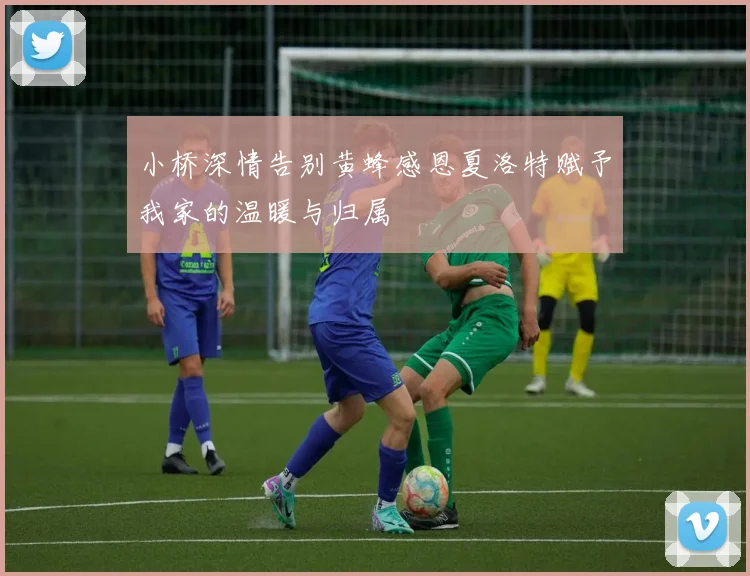 小桥深情告别黄蜂感恩夏洛特赋予我家的温暖与归属